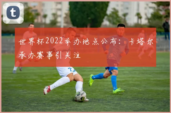 世界杯2022举办地点公布：卡塔尔承办赛事引关注