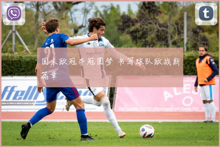 国米欧冠夺冠圆梦 书写球队欧战新篇章