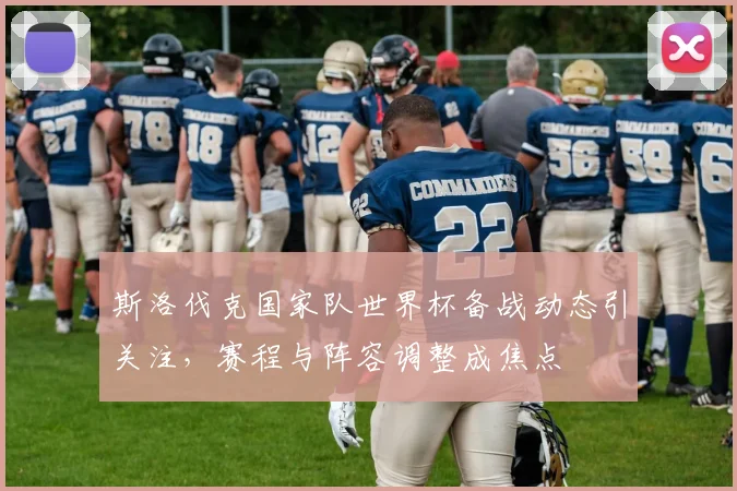 斯洛伐克国家队世界杯备战动态引关注,赛程与阵容调整成焦点