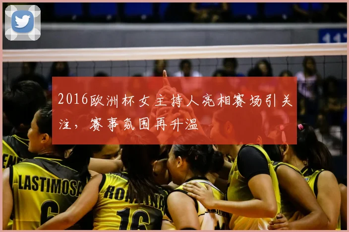 2016欧洲杯女主持人亮相赛场引关注,赛事氛围再升温