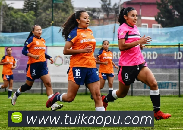 世界杯官方网络平台服务体系